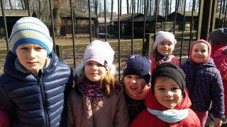 większy obrazek nr 4